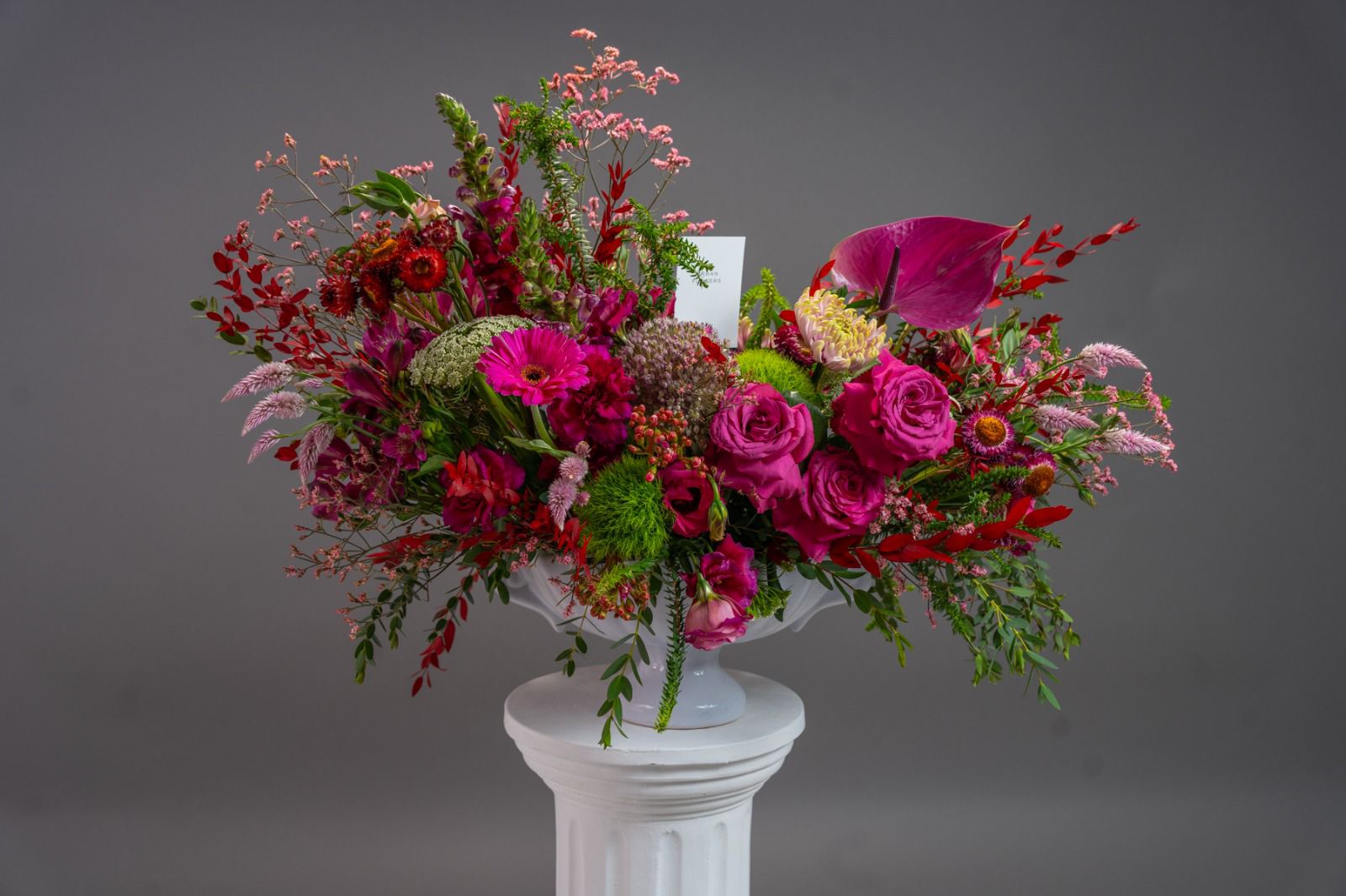 Fuchsia Sauvage