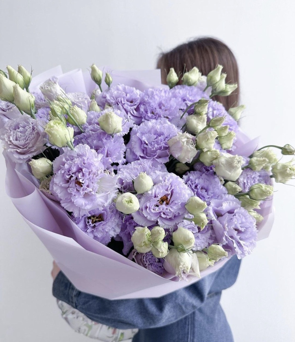 Lilac Whisper
